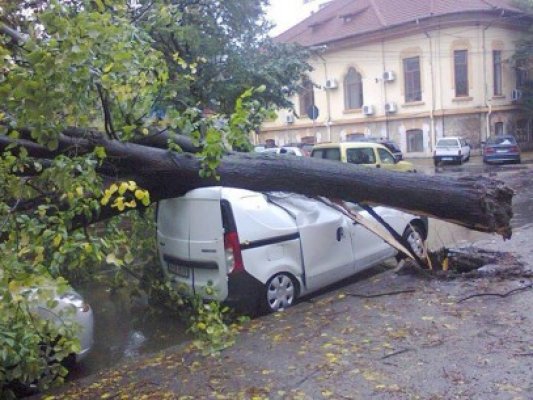 Constănţenii care şi-au găsit maşinile avariate de copaci ar putea fi despăgubiţi de Primărie